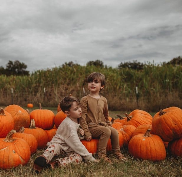 pumpkinpatch2