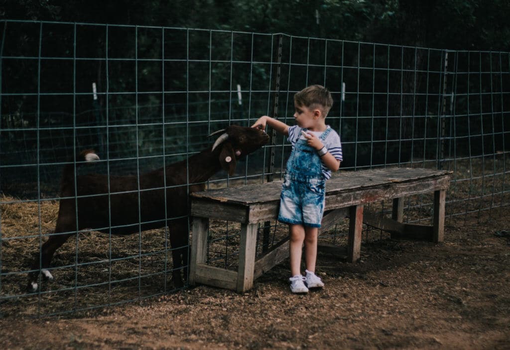 photo spots austin sweet berry farm austin texas photography autism mom blog