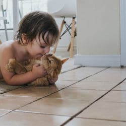 kiwi sprout plant autism mom blog austin texas autistic toddler  cat