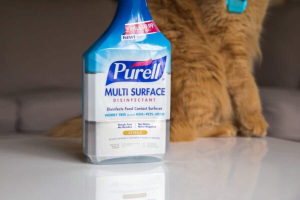 purell autism mom blog gojo cleaning product