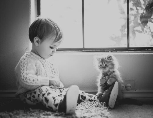 freshlight fresh and light litter adoption cat autism mom blog
