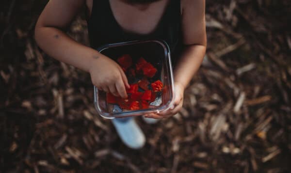 watermelon snacks on the go healthy mommy autism mom blog ring of fire photography