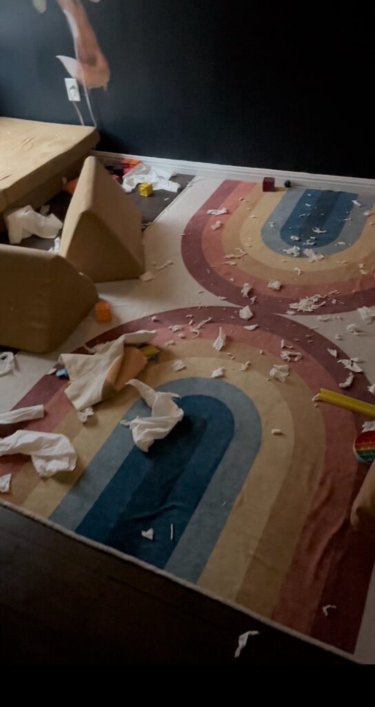 toiletpaper mess